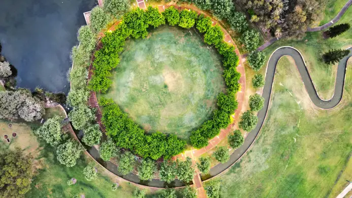 Top down view of a circular forest surround by a circular road